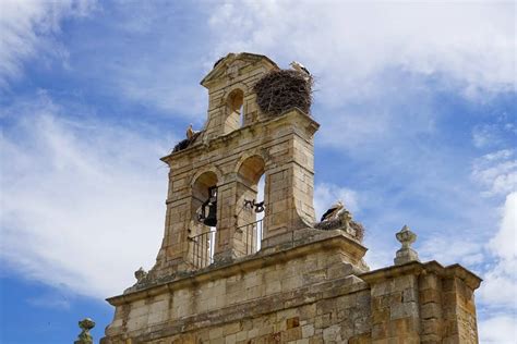 THE 15 BEST Things to Do in Zamora .